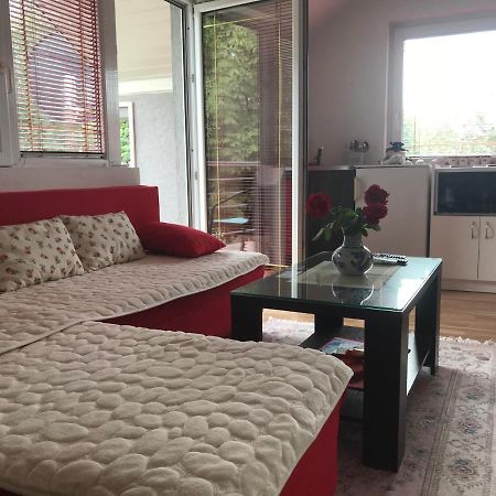 Apartments Premovic Nikšić מראה חיצוני תמונה